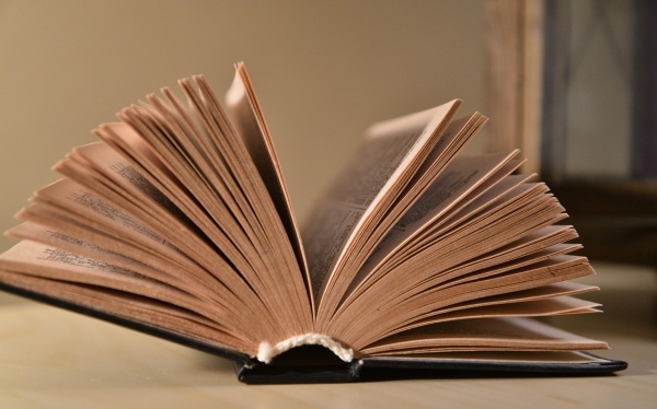 法令本科论文范文