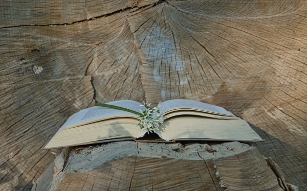 水泽节卦测爱情分手复合能成功吗？节卦测已婚和未婚爱情复合