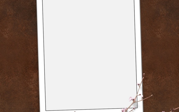 当归拈痛丸的说明书