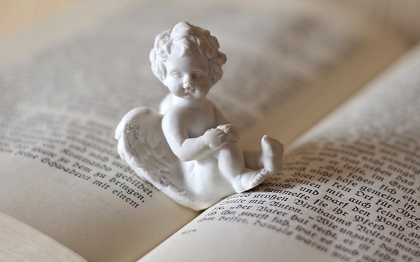 轿车调查报告范文