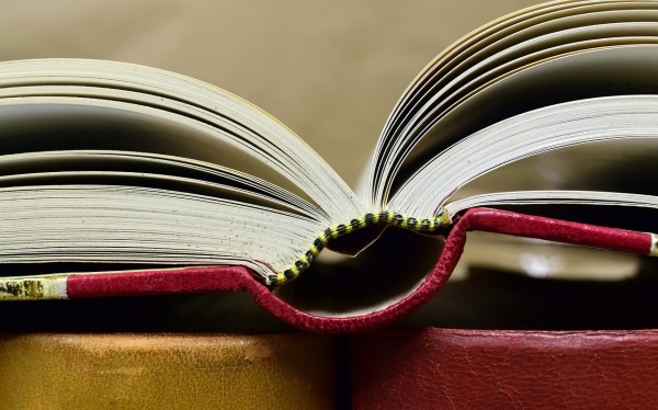 哪些食物不能和葡萄酒一同吃