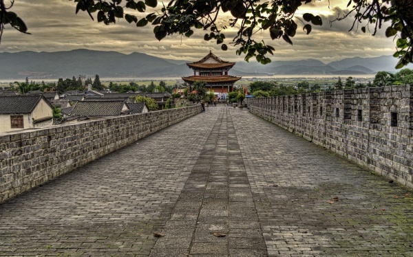 痘痘的四个区域