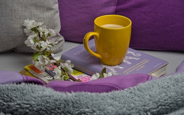 冬天想补肾必须吃的十种食物