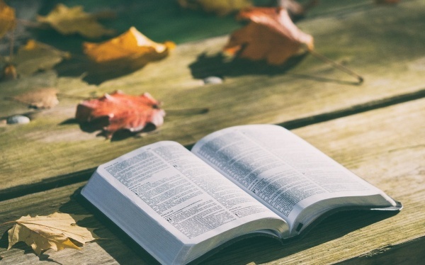 砭石床垫真的有用吗