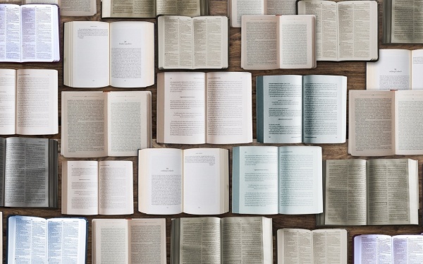 海马泡酒有什么作用