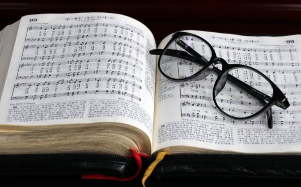 丁真耳环是铜的还是金的