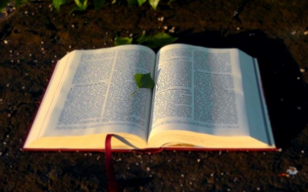 萘普生钠片的说明书