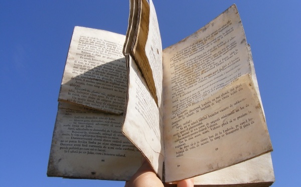 支持王者荣耀90帧的手机有哪些-支持王者荣耀90帧的手机榜单