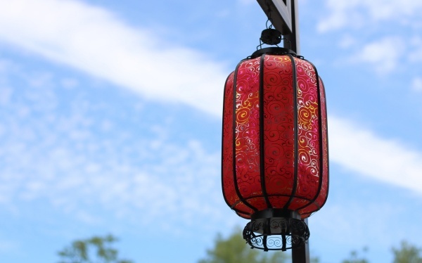 个性化阅读教学范文