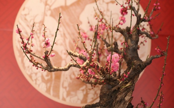 烧金元宝可以还阴债吗 /人去世后还需要还阴债吗