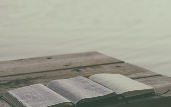 什么会引起健忘症