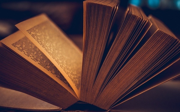 出资工作计划范文