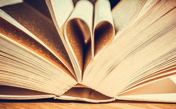 油厂实训总结范文