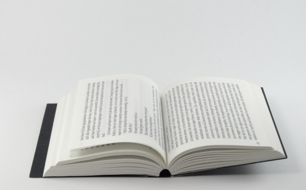 老少配的夫妻长啥样