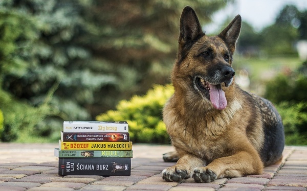 泰国恋爱和正当事和情降区别，解密挽回的真相!