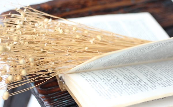 非淋菌性尿道炎常见并发症