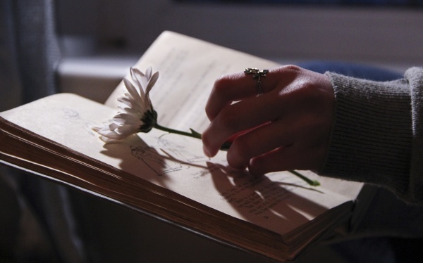 幼儿园中班教师个人总结范文