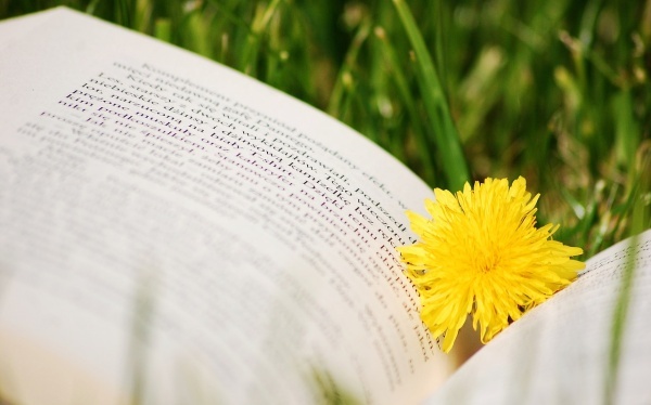 黄金策舟船篇原文及文言详解，黄金策舟船章原文及注解