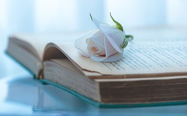 鼻窦能发挥什么功用呢