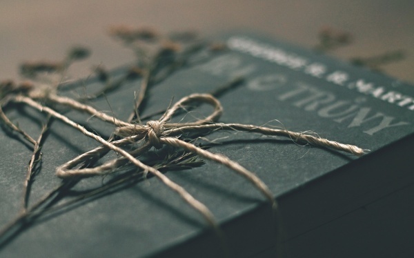 国企私有化范文