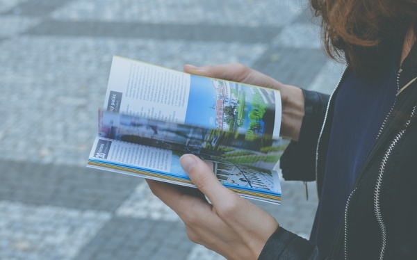 牵牛花作文范文