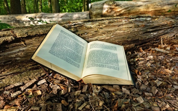 水痘应忌食什么？