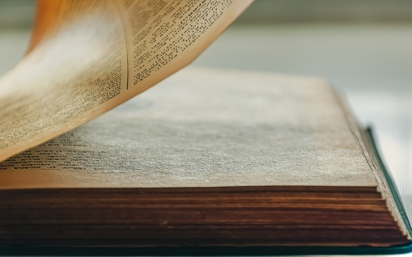 怎样去除生板栗皮 切口浸泡电饭锅干煮