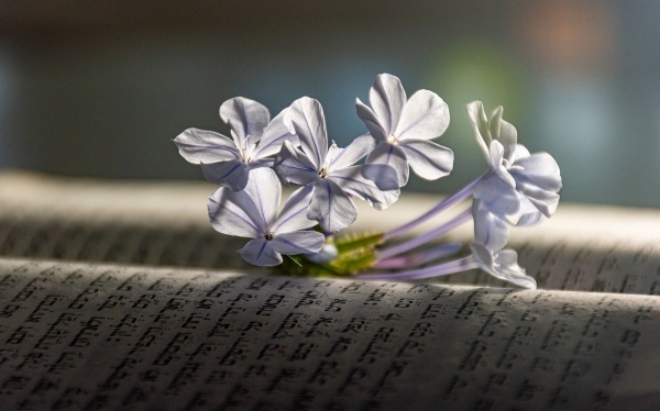 糖尿病患者怎样喝粥更健康