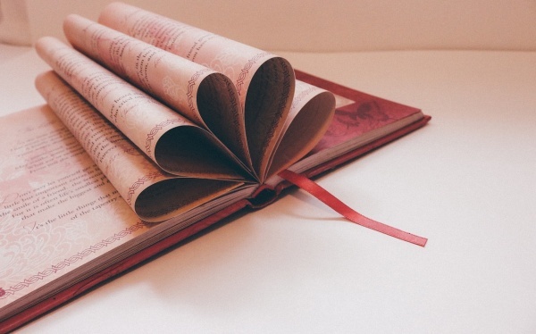 辛芩颗粒的说明书