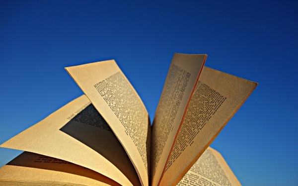 夏日青春痘爱疯长怎么办