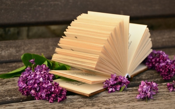 如何找到自己的星盘,怎样测自己的星盘