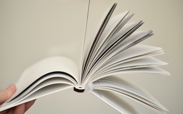 博士生结业论文范文