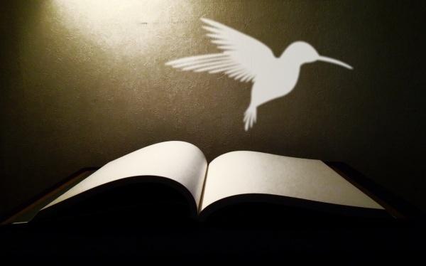 湖北省道教协会召开五届十二次会长办公,扩大会议