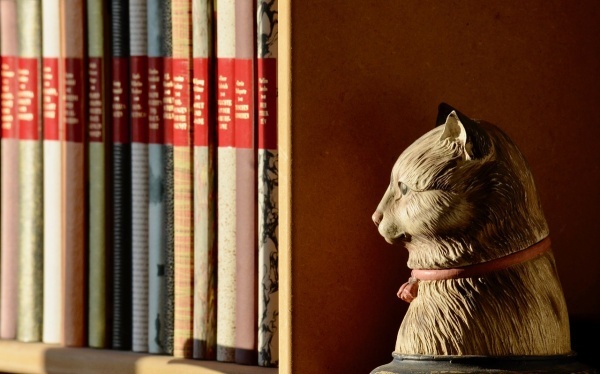 青少年有必要做血糖查看吗？