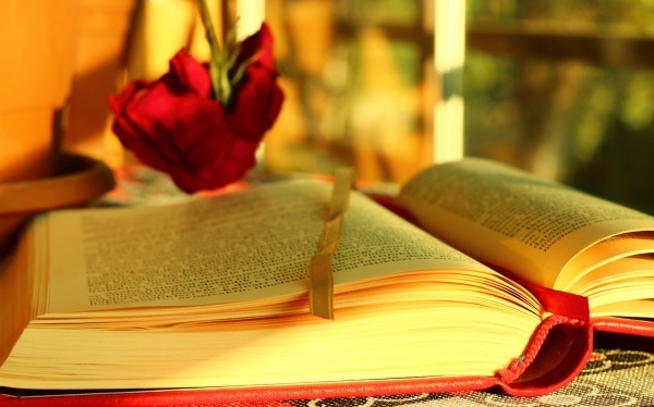 美国疫苗研发这么快，究竟说明了什么？