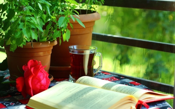 求职路上受点挫折让你更乐成