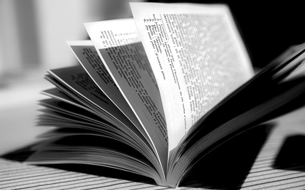 物业专员工作总结范文