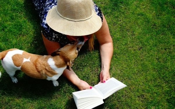 圣女果夹乌梅有什么好处