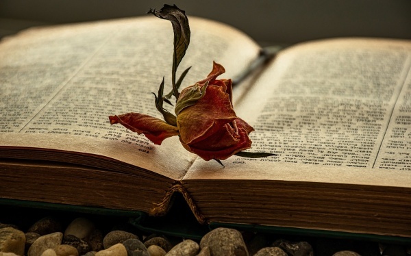 六爻地山谦卦详解完整版，地山谦卦六爻具体解析