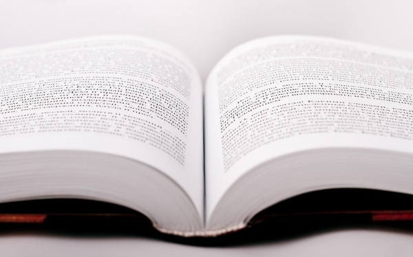 母亲节的作文范文