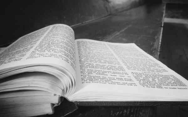 芦笋只长叶子不长笋的原因