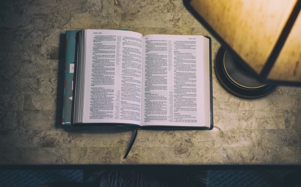 双子座的爱情,为什么不要和双子座谈恋爱