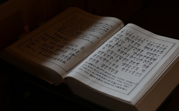 生存类综艺 国外最火的综艺节目前十名