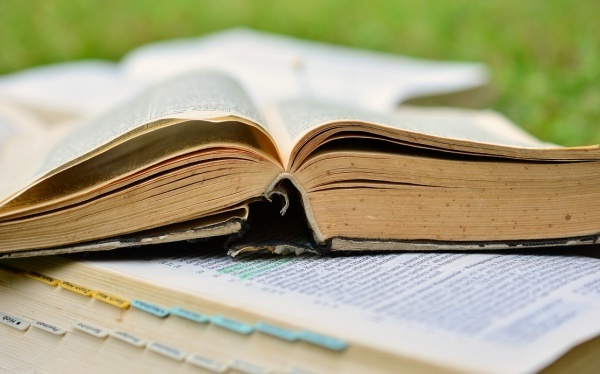 兰芝隔离和za隔离哪个好-兰芝隔离和za隔离的区别