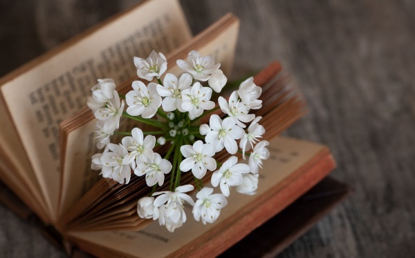 公民道德教育范文