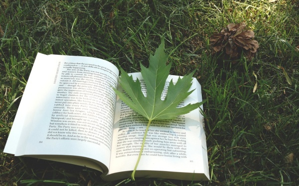 命里童子会出现什么状况，命带童子人生揭秘