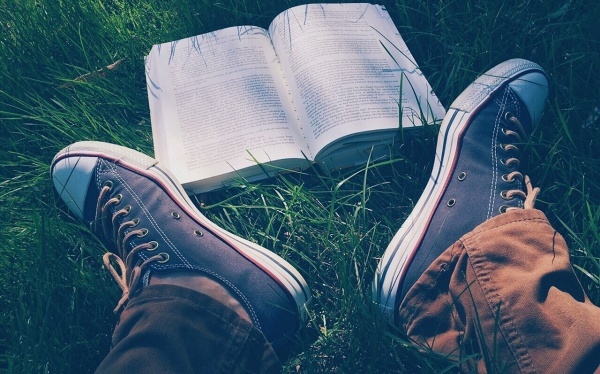 有关生命的作文范文