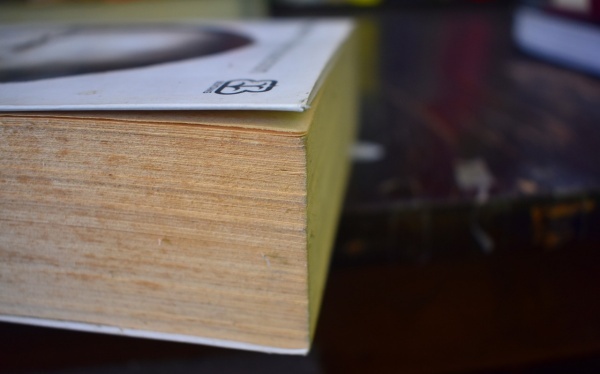 春季运动会范文