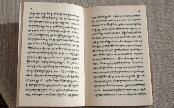 观音安意如范文