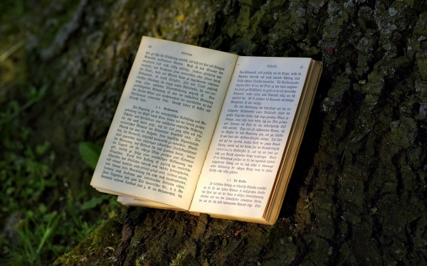 去日本做三代试管婴儿需求多少钱?